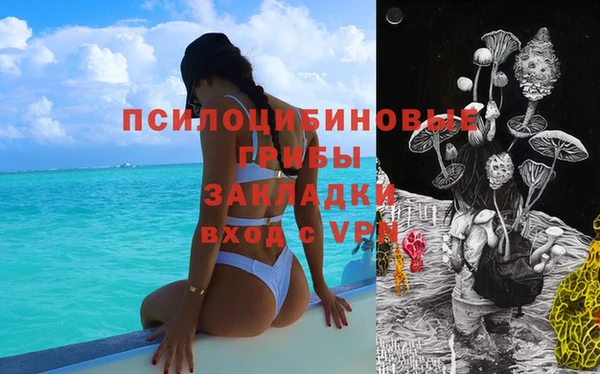 a pvp Аркадак