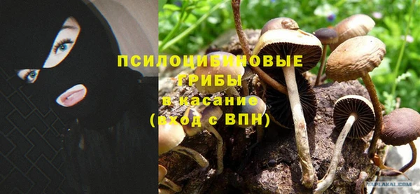 герыч Арсеньев