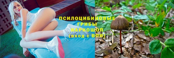 МДПВ Армянск